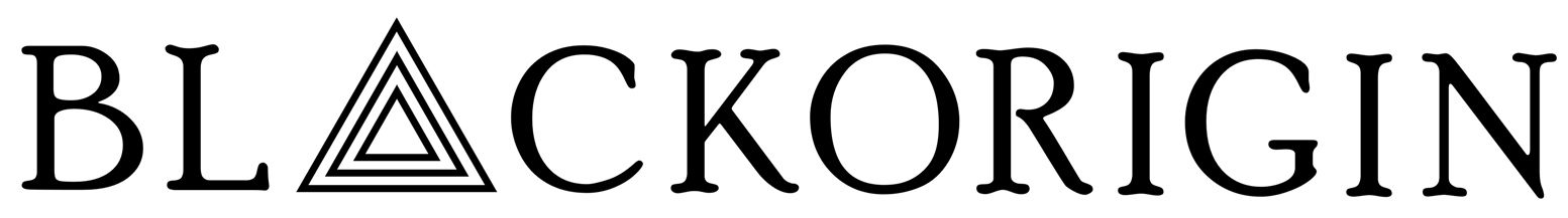 BlackOrigin Academy