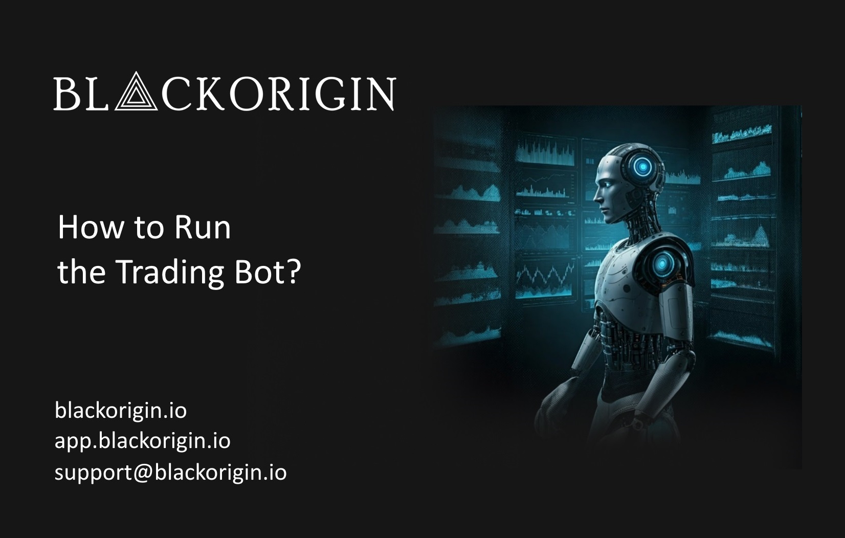 How to Run the BlackOrigin Trading Bot ?